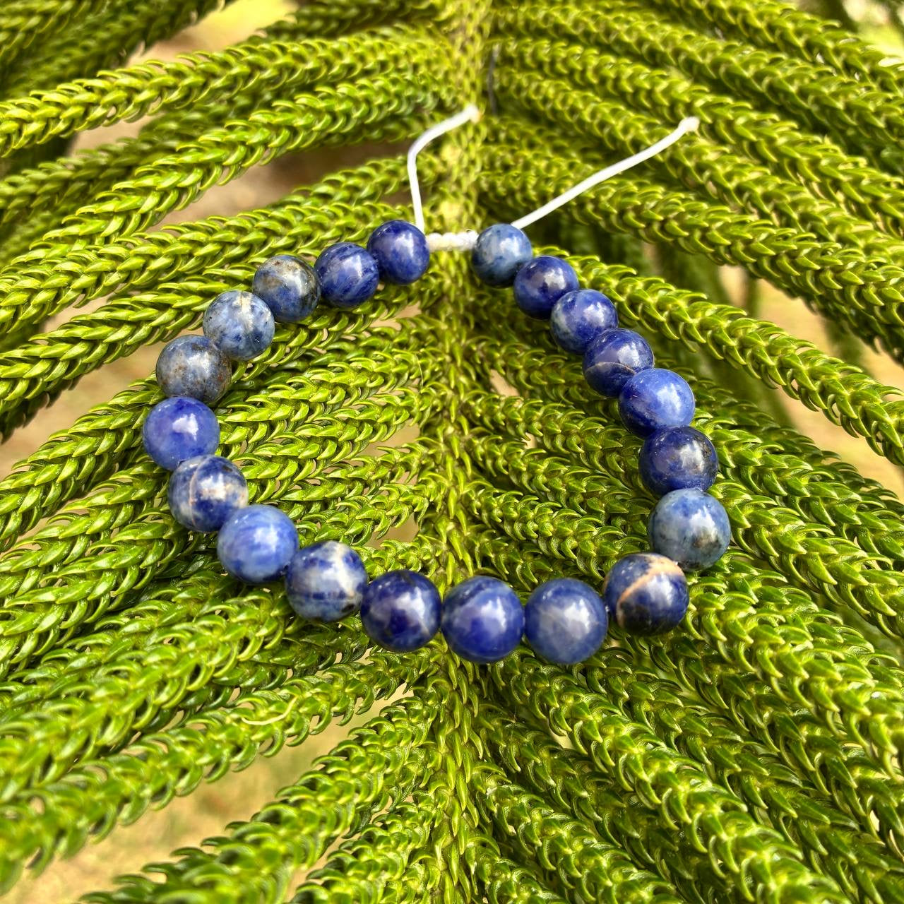 Pulsera de Sodalita