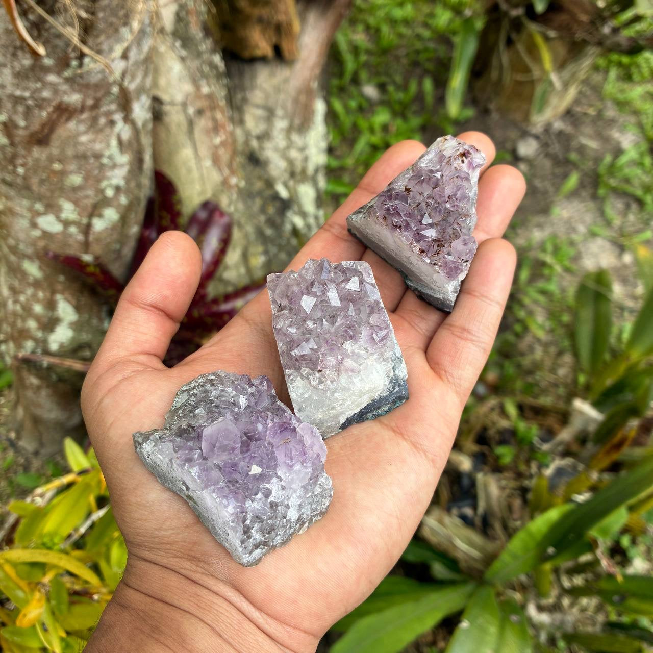 Drusas de Amatista incensario