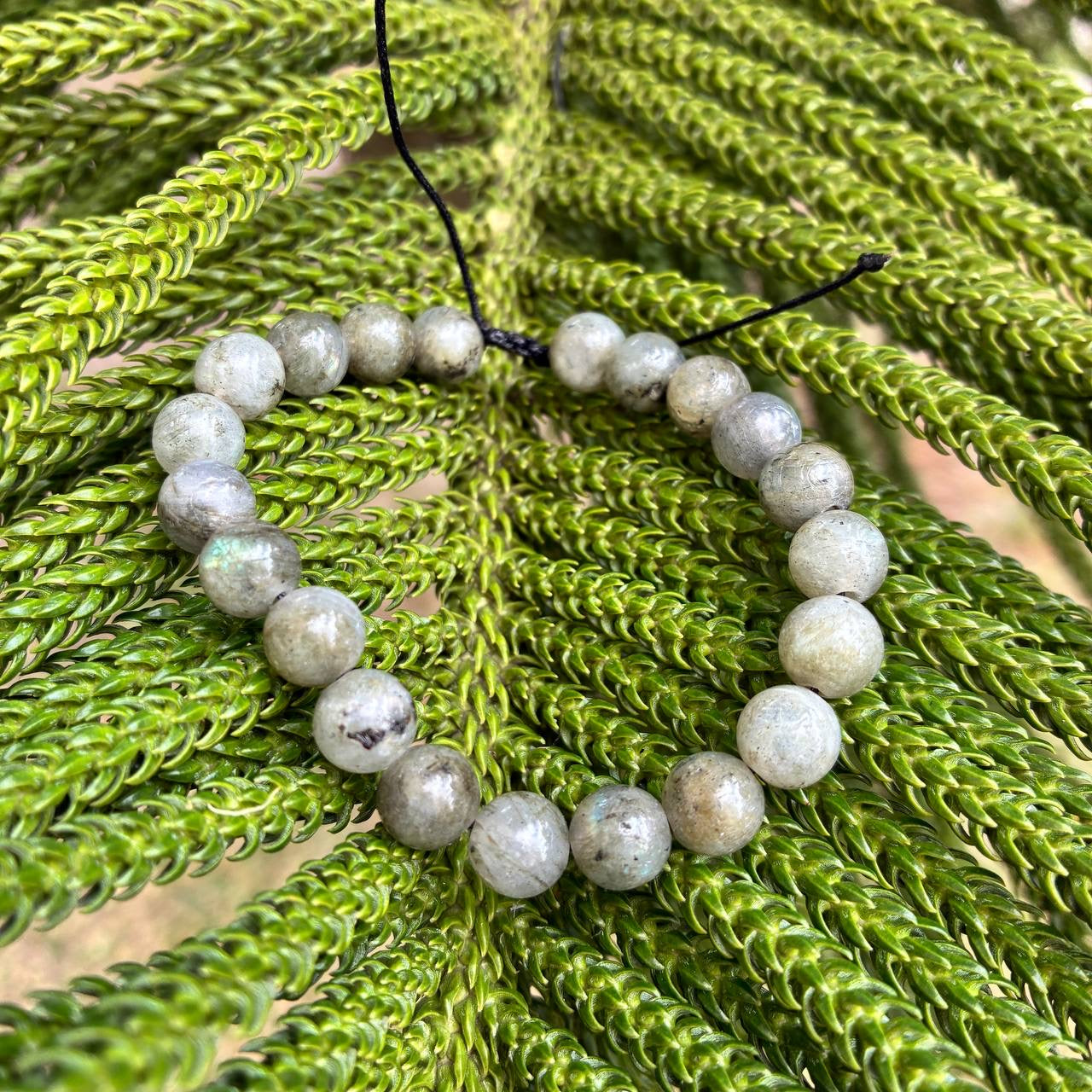 Pulsera de Labradorita